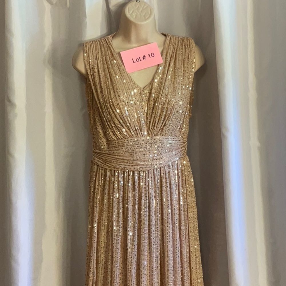 ALISA & LEO nude colored gown with gold to pinkish colored sequins all over 15JR - Picture 3 of 16
